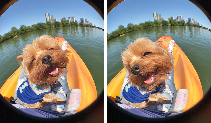 Ако не се насмеавте денес, овие фотографии ќе ви помогнат во тоа