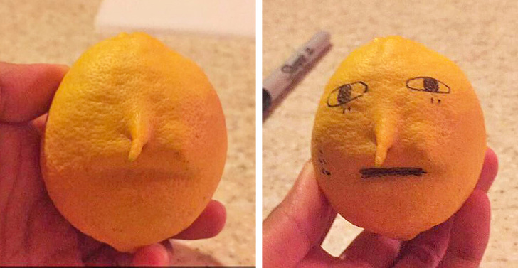 Ако не се насмеавте денес, овие фотографии ќе ви помогнат во тоа