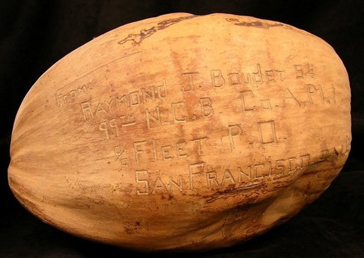 Најневеројатните нешта во музејот Смитсонијан