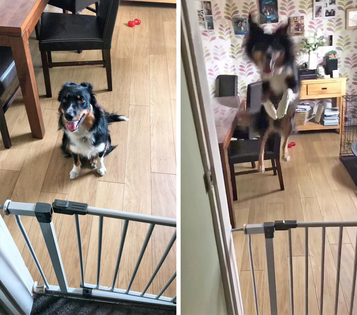 Ако не се насмеавте денес, овие фотографии ќе ви помогнат во тоа