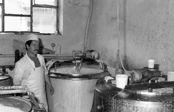 Битолско кисело млеко – омилениот вкус веќе 66 години