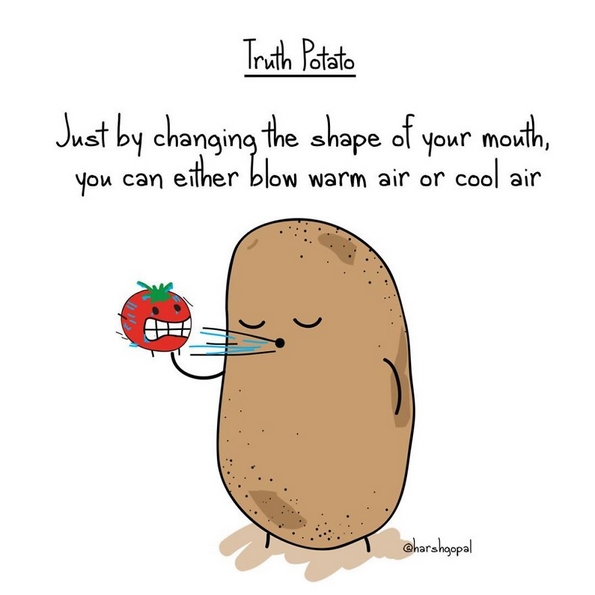 20 горчливи вистини презентирани од страна на „Компирот на вистината“ коишто ќе ве замислат