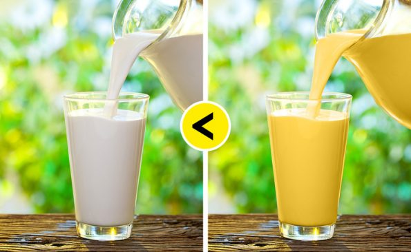 9 нови трендови за поздрав живот за оние кои немаат многу време