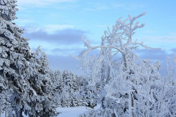 25 застрашувачки знаци кои покажуваат дека крајот на светот можеби е навистина блиску
