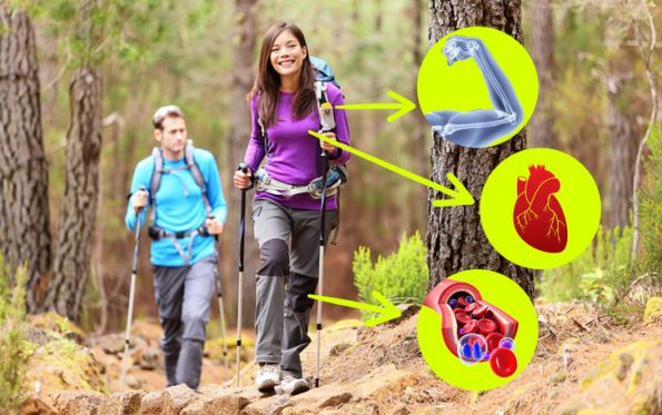 8 придобивки од пешачењето за кои веројатно не сте знаеле