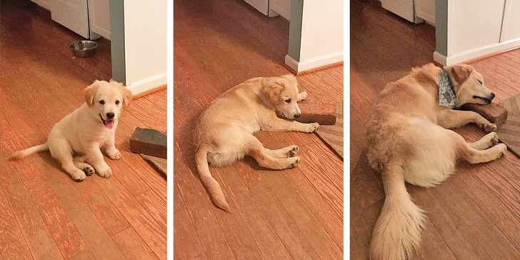 Ако не се насмеавте денес, овие фотографии ќе ви помогнат во тоа