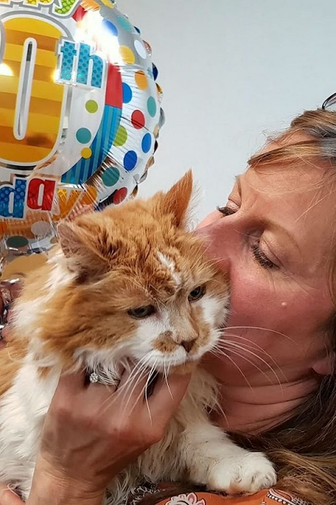 Можеби најстариот мачор во Англија го прославил својот 30-ти роденден