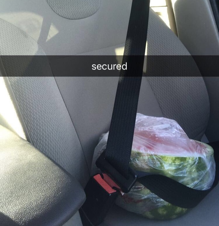 Ако не се насмеавте денес, овие фотографии ќе ви помогнат во тоа