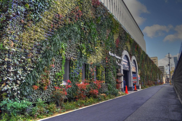 Неверојатни фотографии од растенија кои ги претвориле домовите во бајка