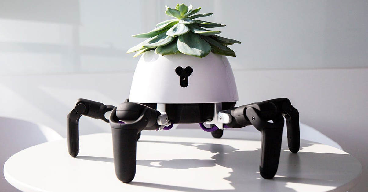 Паметна роботска саксија се движи и го лови Сонцето, за да им овозможи доволно светлина на растенијата