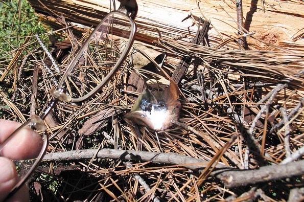 10 неочекувани примени на секојдневни предмети што можат да ви го спасат животот