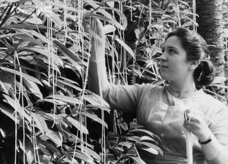 15 измами кои докажуваат дека луѓето веруваат во сè