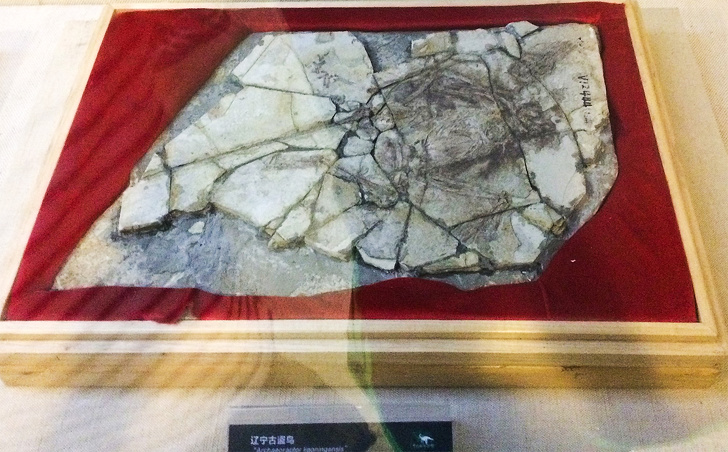 15 измами кои докажуваат дека луѓето веруваат во сè