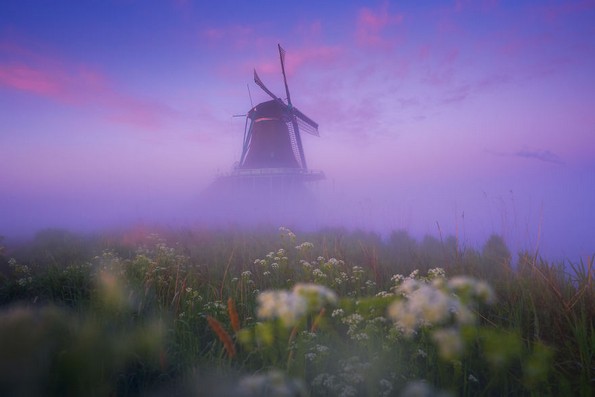 Фотограф прави магични фотографии од холандските ветерници и магла