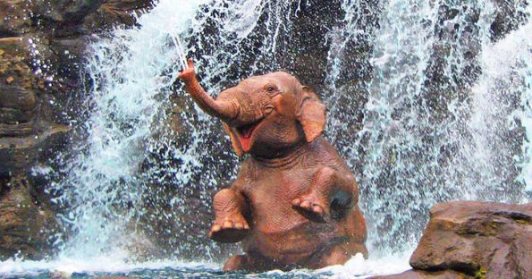 21 фотографија за подобрување на вашето расположение