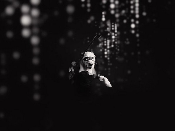 Најпознатите фотографии на Мадона рекреирани со куче