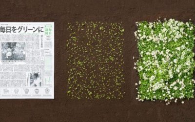 Весници коишто се претвораат во растенија се најновиот изум од Јапонија