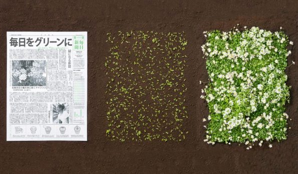 Весници коишто се претвораат во растенија се најновиот изум од Јапонија