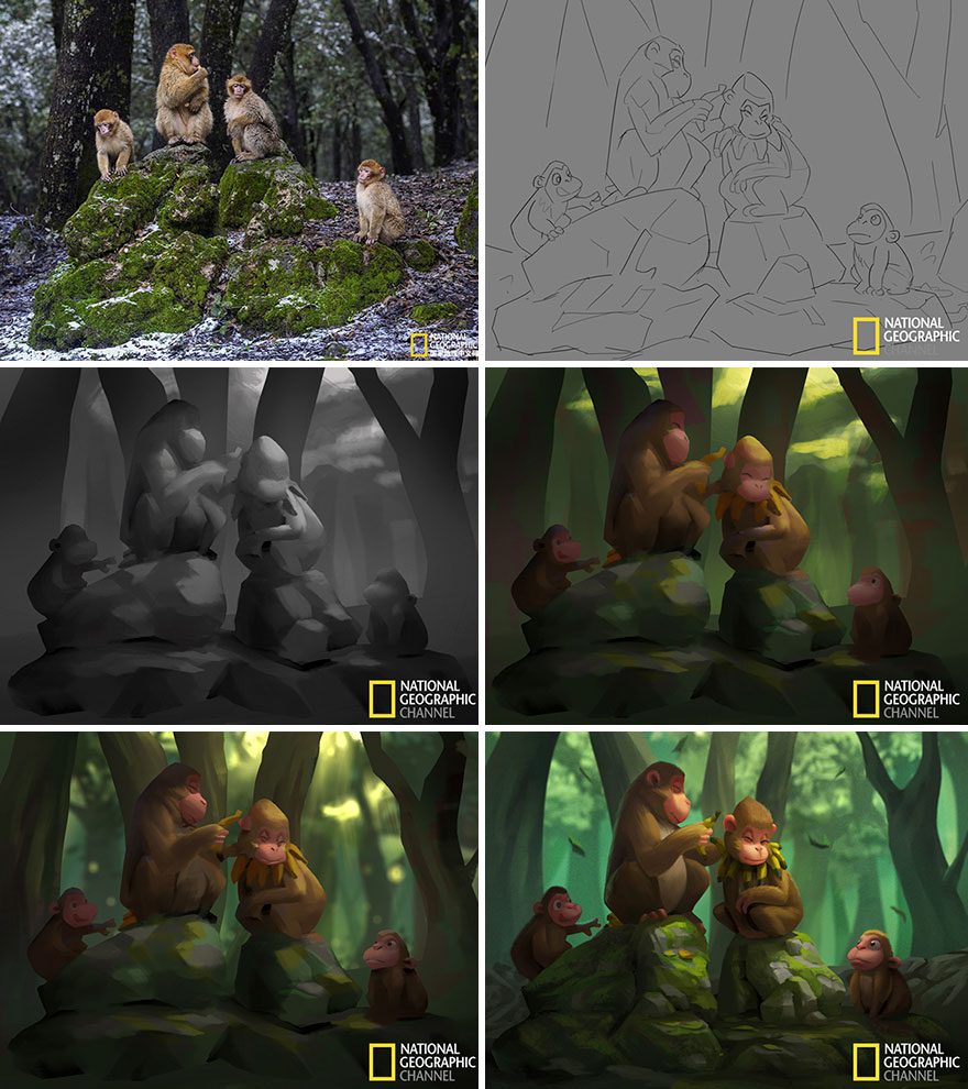 Уметник ги претвора фотографиите од National Geographic во слатки илустрации