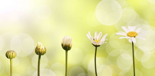 7 знаци дека сте на работ на целосна трансформација