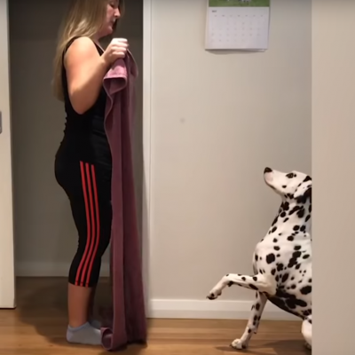 Кучиња реагираат на магичниот трик со ќебе