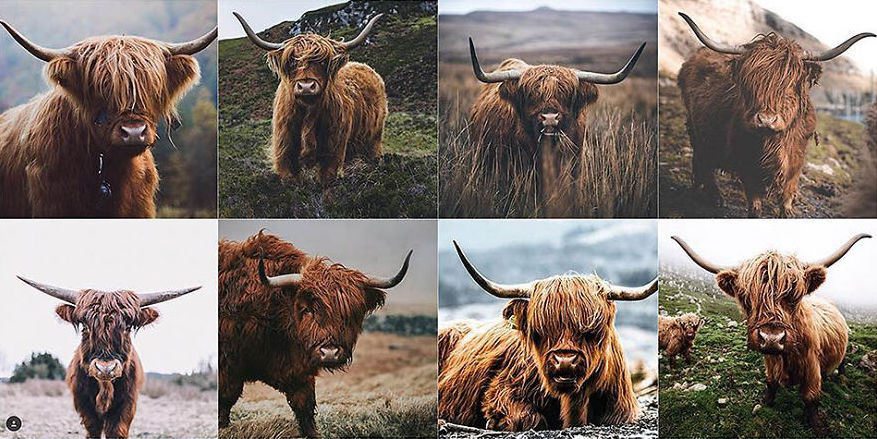 Анонимна девојка забележала дека сите фотографии на Инстаграм почнуваат да наликуваат едни на други