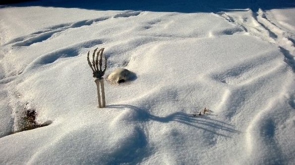 Фотографии што ги прикажуваат смешните последици од заборавањето