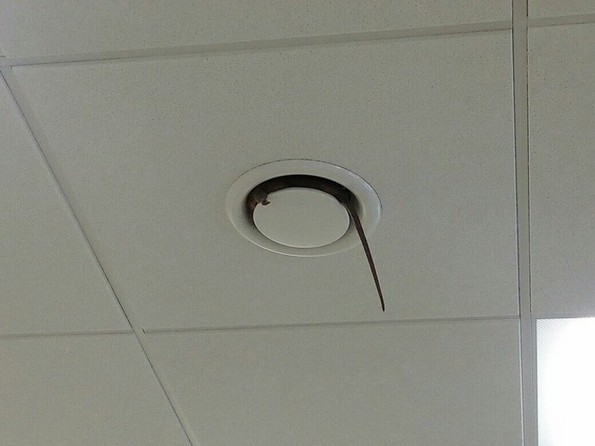 Фотографии што ќе ви го покачат нивото на адреналин