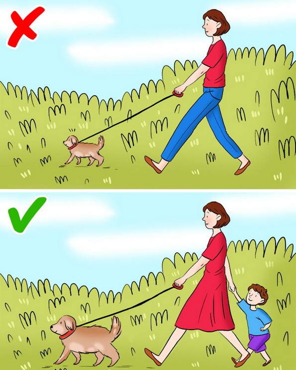 Што сакаат луѓето кои не се родители и зошто не сакаат да имаат деца?