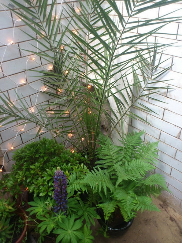 Англиска архитектка претворила напуштен јавен тоалет во фантастичен дом за кој сите сонуваме