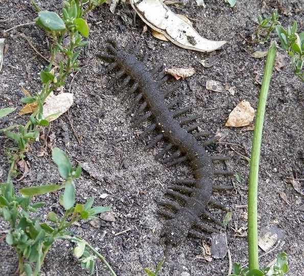 Фотографии што ќе ви го покачат нивото на адреналин