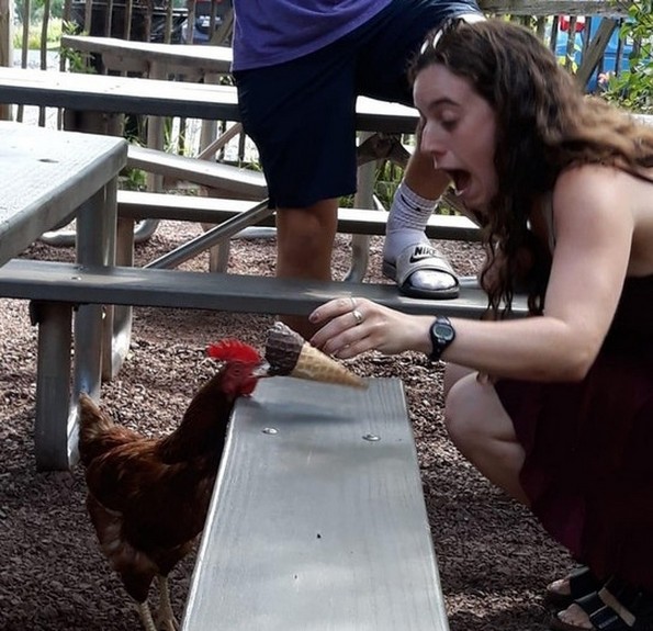 Фотографии oд животни направени во вистинскиот момент што ќе ви го разубават денот