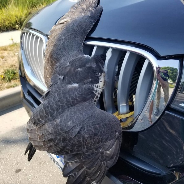 Фотографии што ќе ви го покачат нивото на адреналин