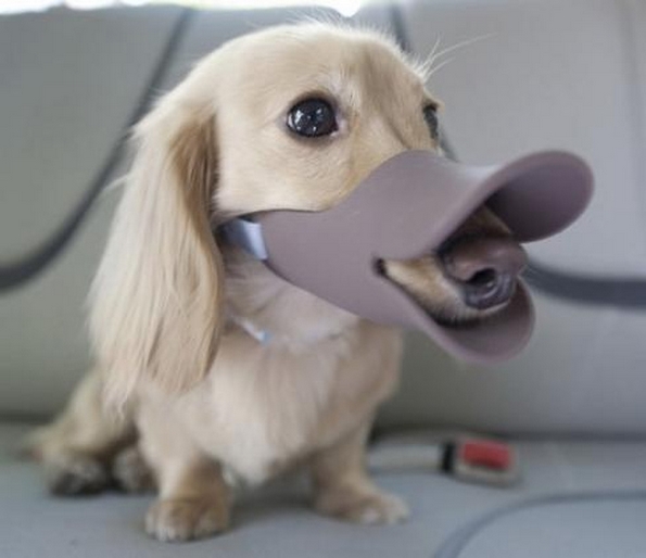 27 дизајнерски артикли коишто сигурно би сакале да ги имате