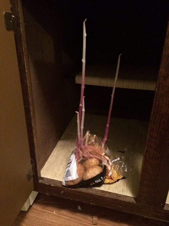 Фотографии што ги прикажуваат смешните последици од заборавањето