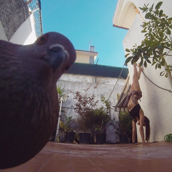 Фотографии oд животни направени во вистинскиот момент што ќе ви го разубават денот