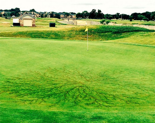 Луѓе што преживеале удар од молња покажуваат што тоа ѝ прави на вашата кожа