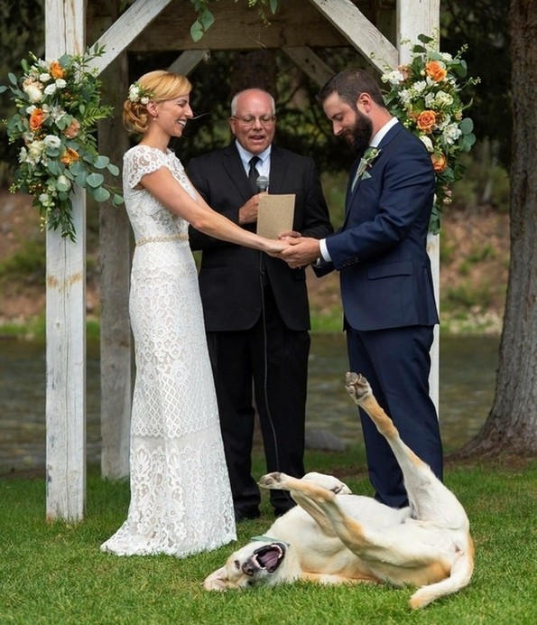 Фотографии oд животни направени во вистинскиот момент што ќе ви го разубават денот