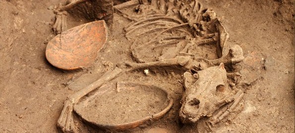 10 неверојатни сличности помеѓу нас и праисториските луѓе
