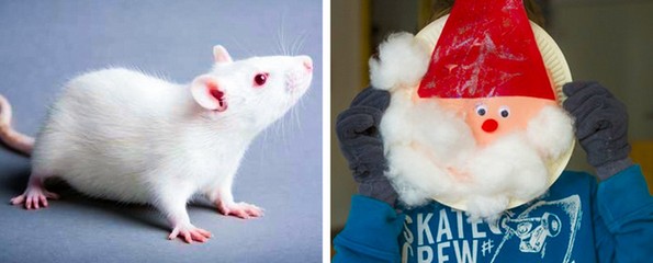 9 вознемирувачки експерименти со деца