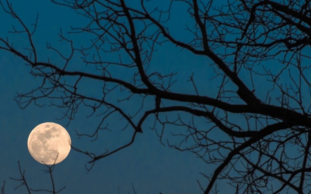 Ритуал за исполнување на желбите: Денешната полна месечина носи големи промени