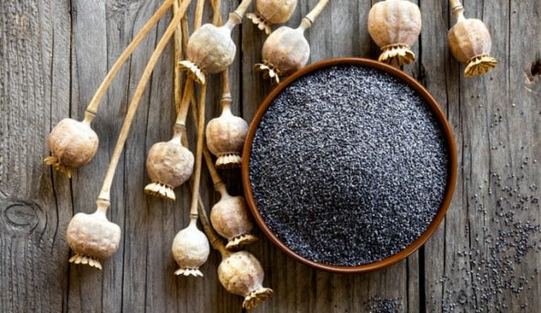 10 видови храна за кои се верувало дека се волшебни