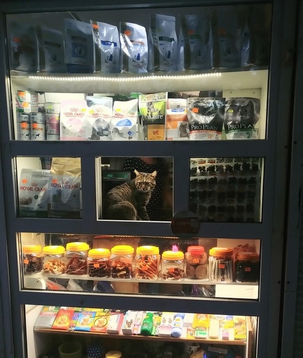 24 уникатни фотографии кои се прават само еднаш во животот