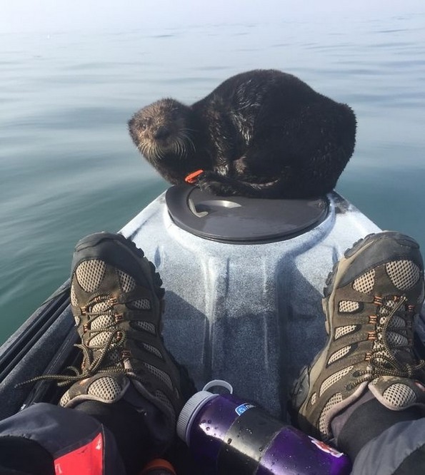 24 уникатни фотографии кои се прават само еднаш во животот