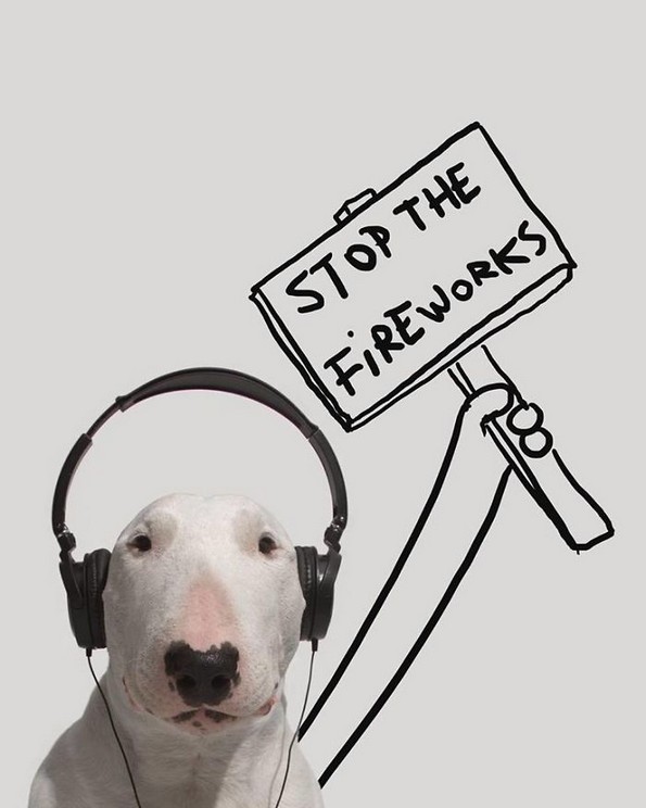 Илустратор го фотографира своето куче во интересни сценарија