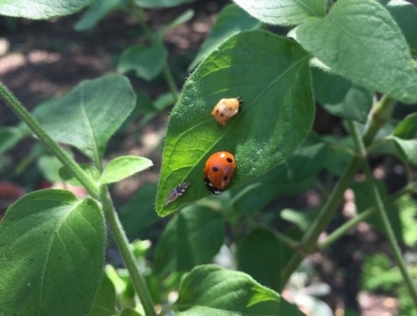 24 уникатни фотографии кои се прават само еднаш во животот