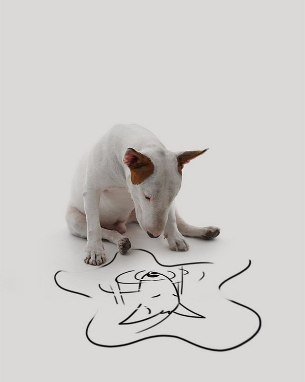 Илустратор го фотографира своето куче во интересни сценарија