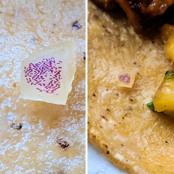 24 уникатни фотографии кои се прават само еднаш во животот