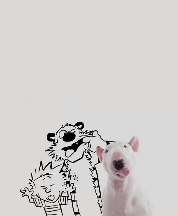 Илустратор го фотографира своето куче во интересни сценарија