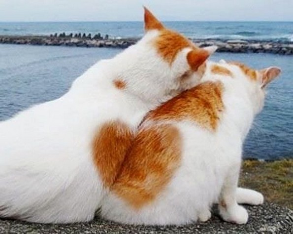 24 уникатни фотографии кои се прават само еднаш во животот